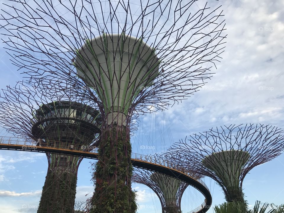 Big Threes Gardens by the Bay in Singapure