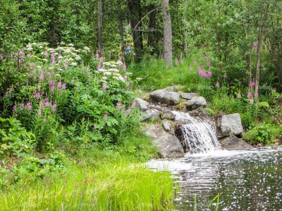 A stream in Alaska with rocks, water, and flowers and vegetation