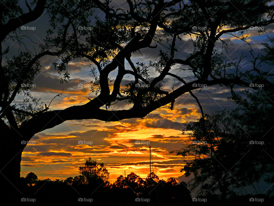 Incredible Sunset! There is nothing as diverse as nature itself. It is a beautiful place; and it is everywhere. I am a haunter of nature  who loves its beauty and solitude. Take a deep breath, relax, open your eyes, and enjoy the ride through my beautiful world of nature!