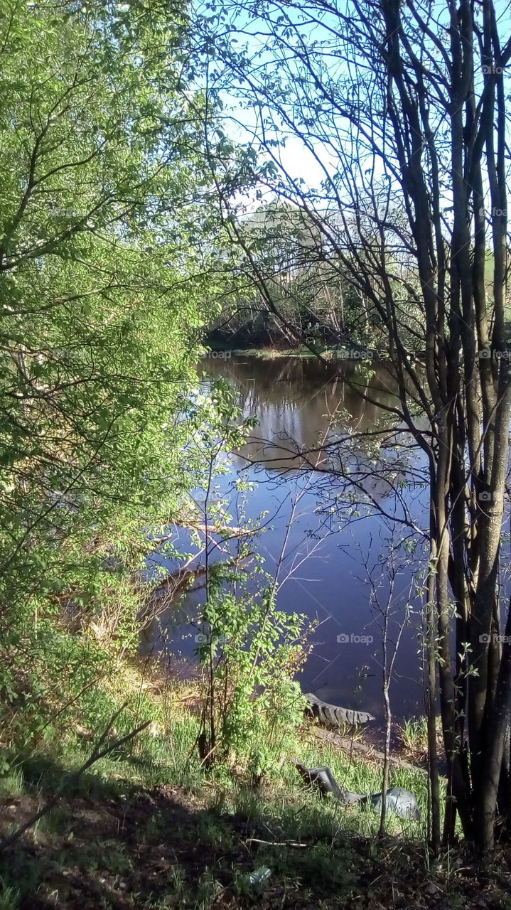 Пруд в деревне