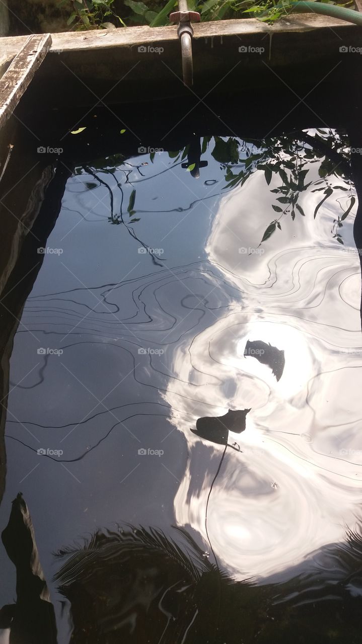 shadow on water