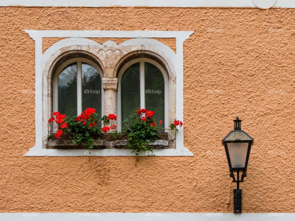 Window and a Lamppost 