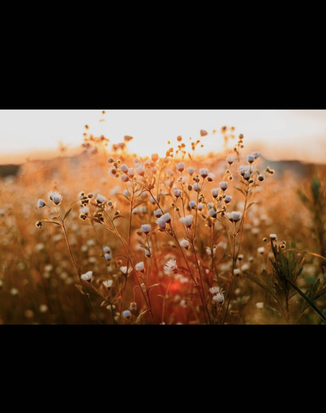 Spring time1