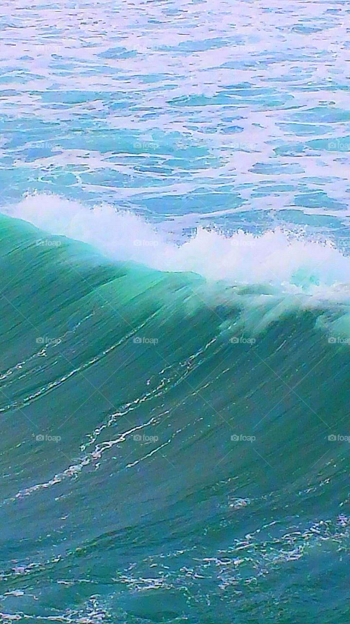 "Big Waves". A big storm is on its way. 