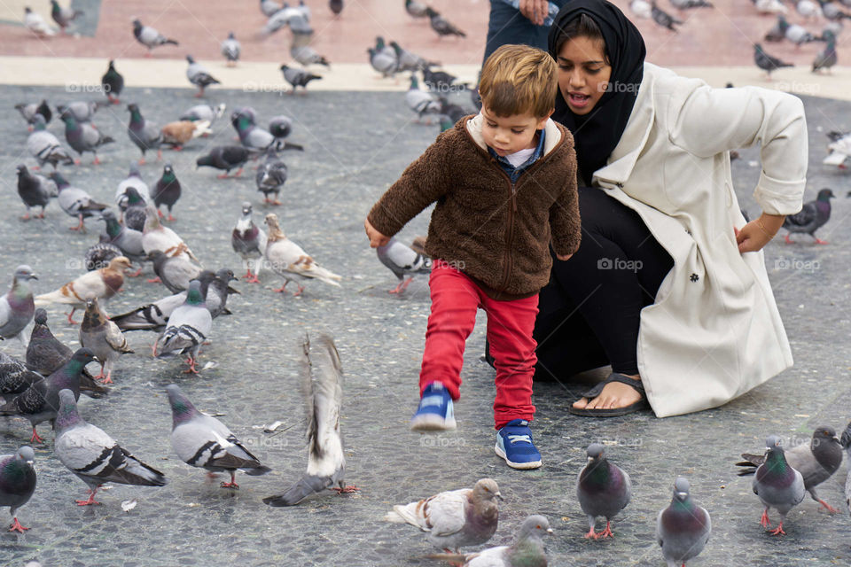 Mother, Son and Pigeons