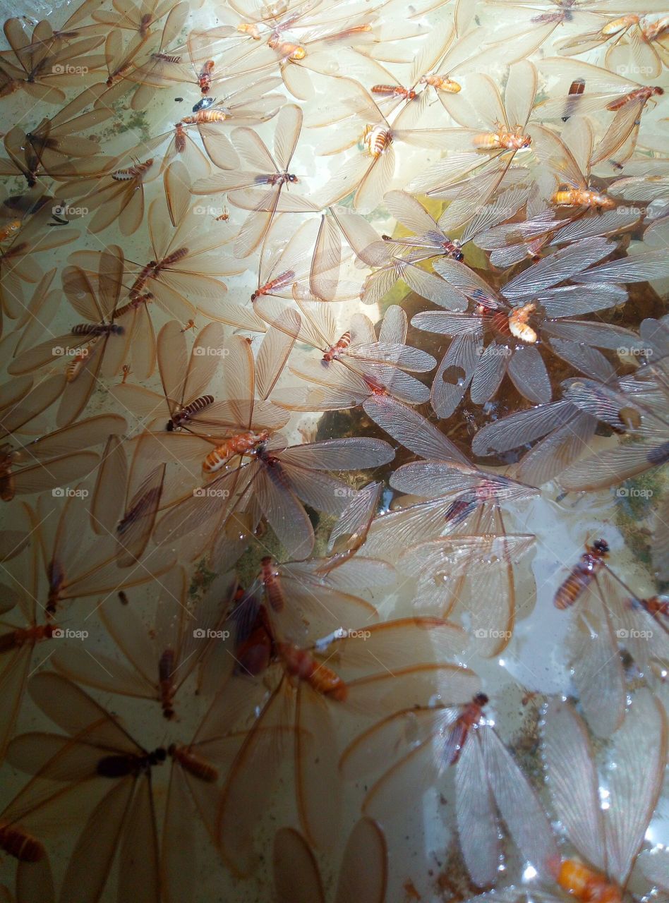 Death is certain. But you don't want to go behind it and jump into it.