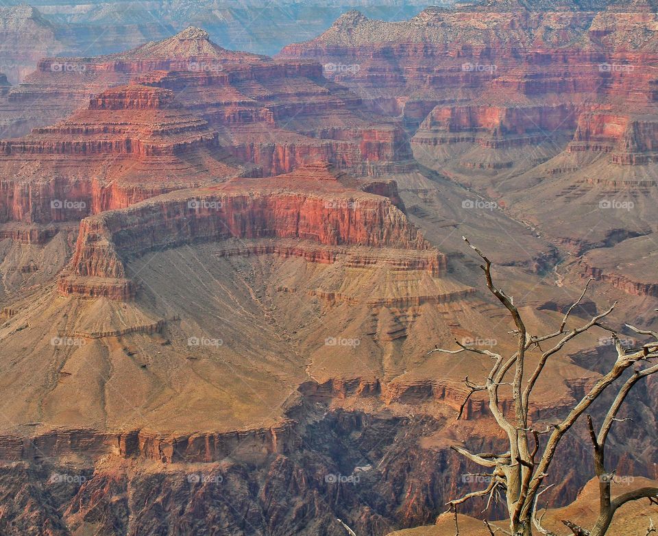 the Grand Canyon of Arizona
