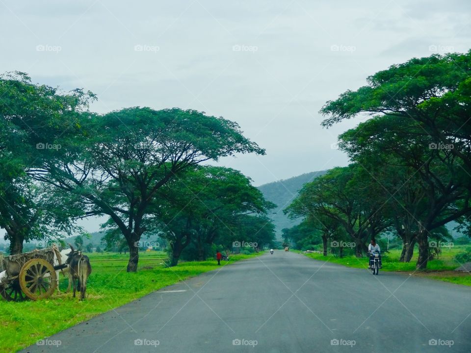 My village and trips 