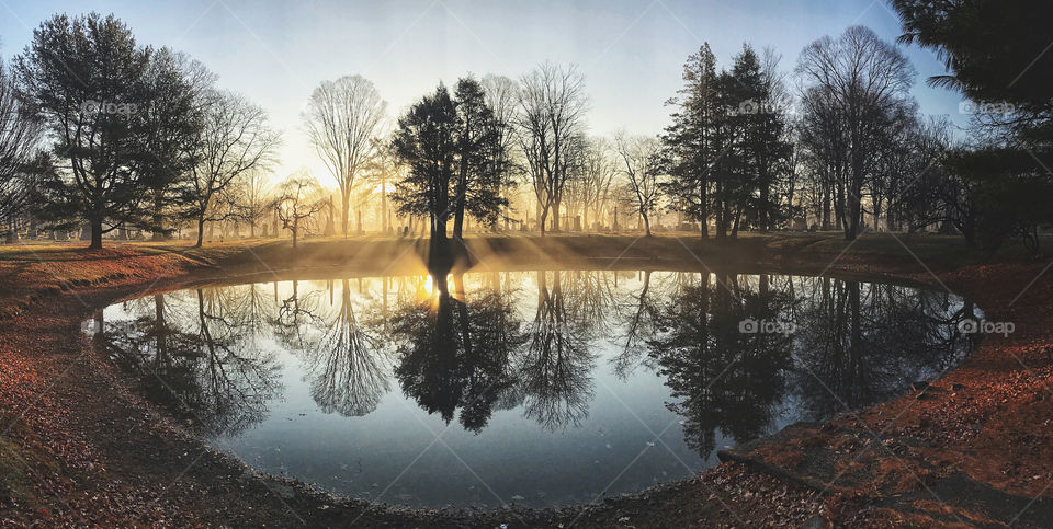 Sunlight through fog and reflections on a pond 