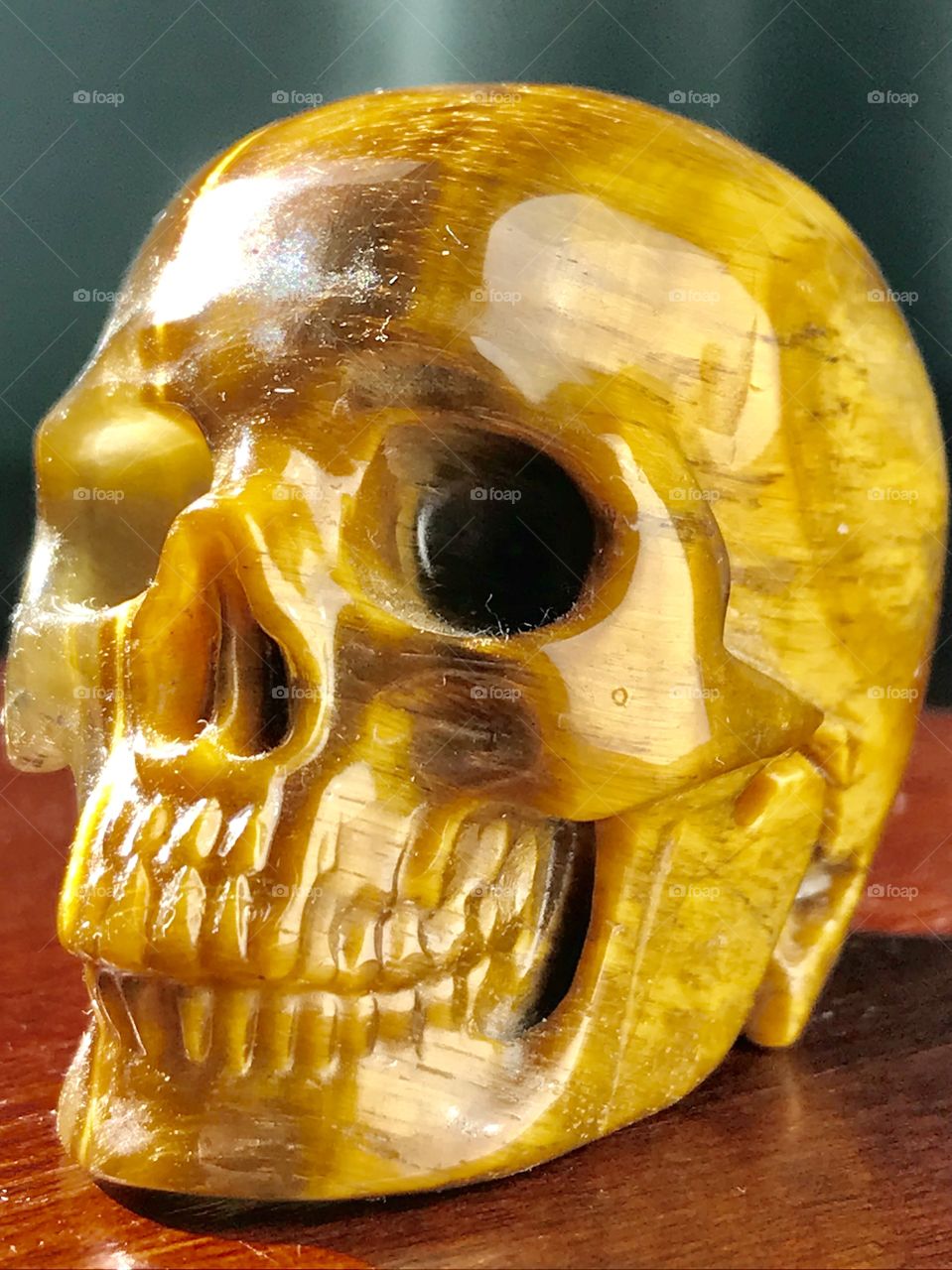 Tigers eye skull