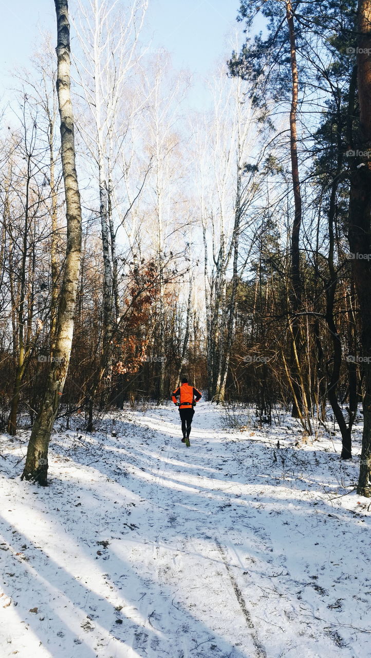 Running in snow covered forest