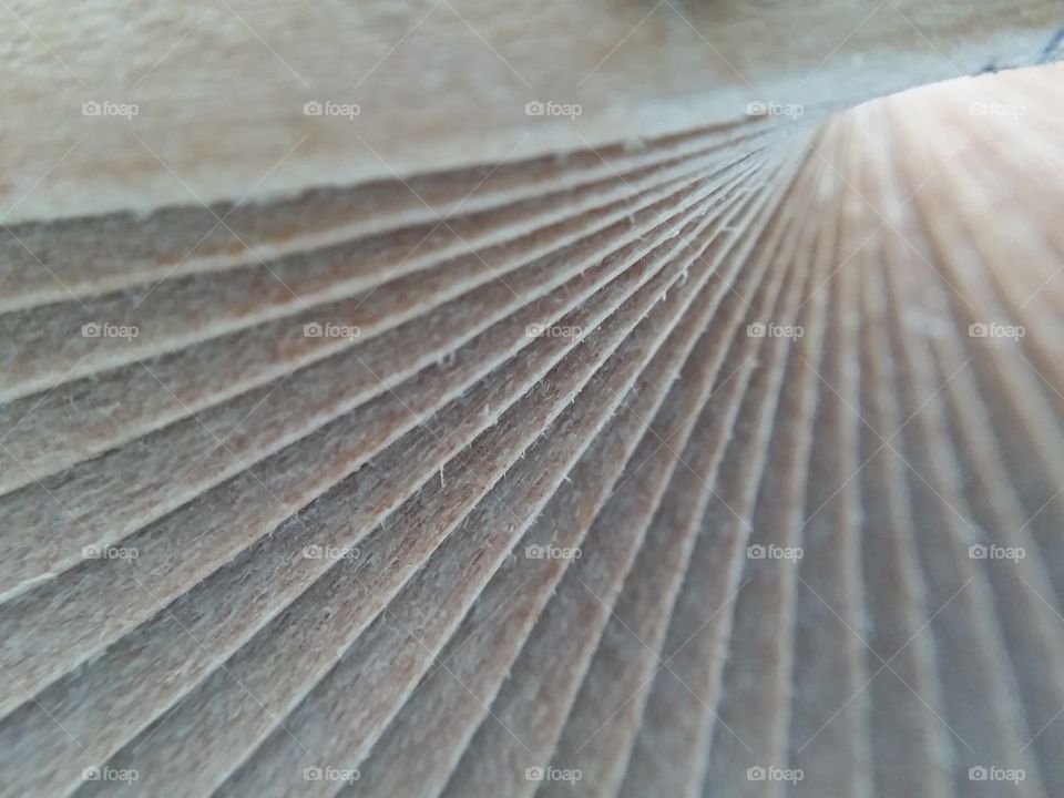 wooden. wooden spiral