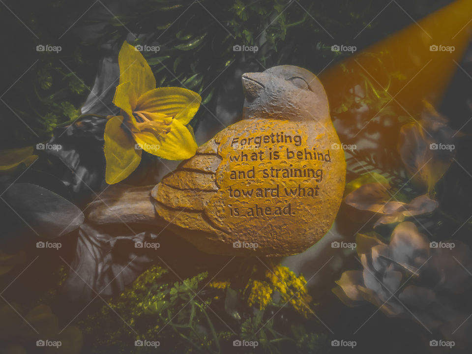 Symbolic Flat lay of a gray garden bird figure with a golden yellow encouraging Bible verse: Forgetting what is behind and straining towards what is ahead.  Accented by a golden yellow flower and highlights.