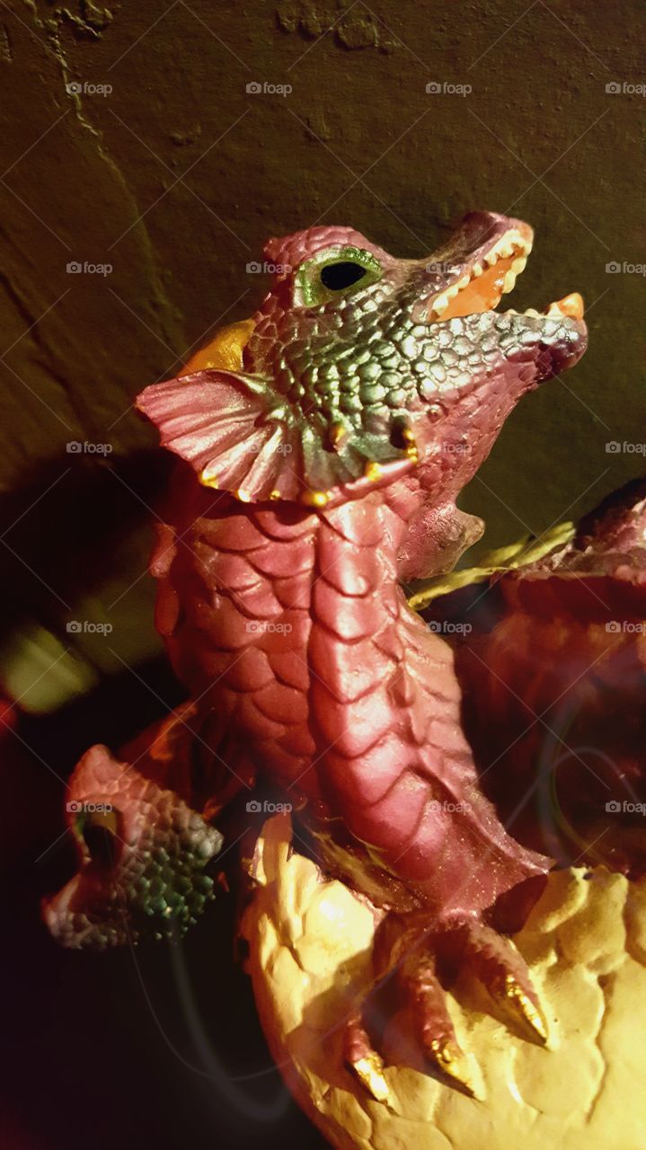 Beautiful macro shots