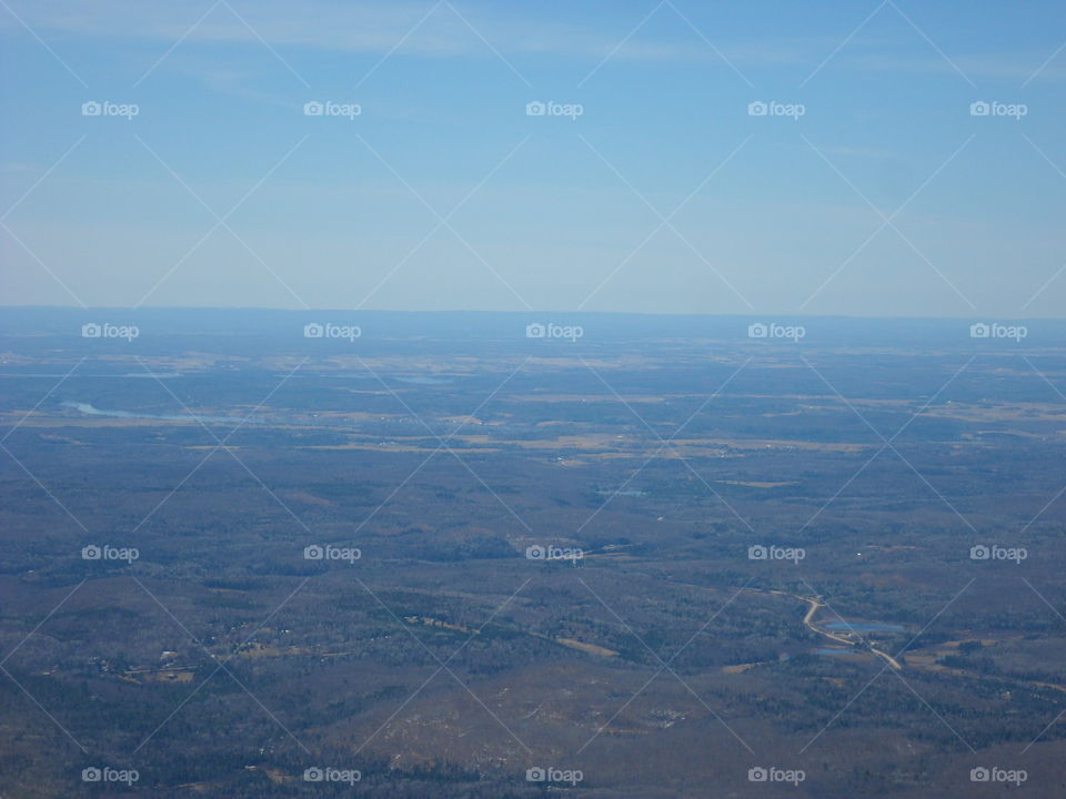 Fields and forest to the horizon. horizon view of forest and fields in spring from a plane