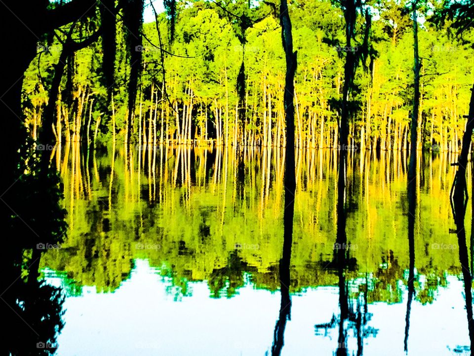 Green reflection 