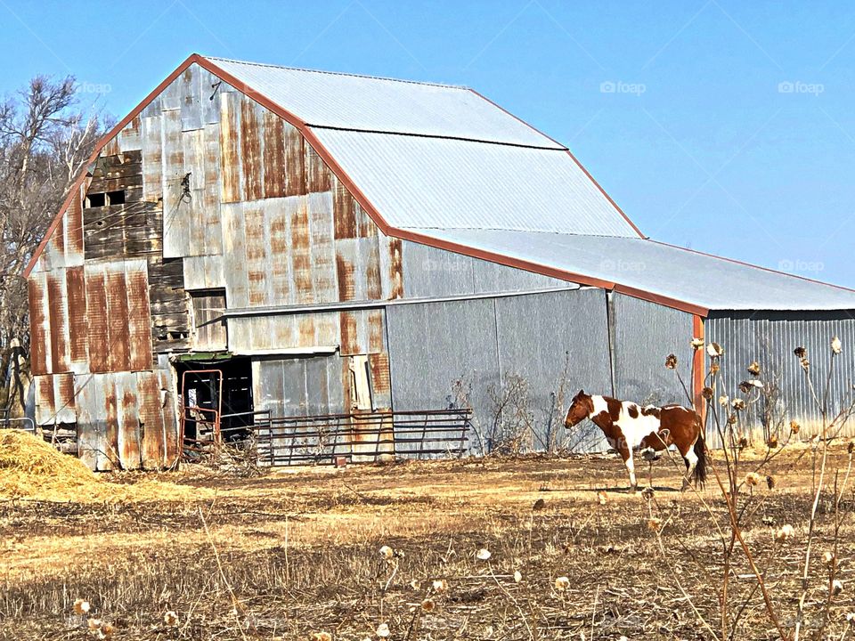 An old barn in country