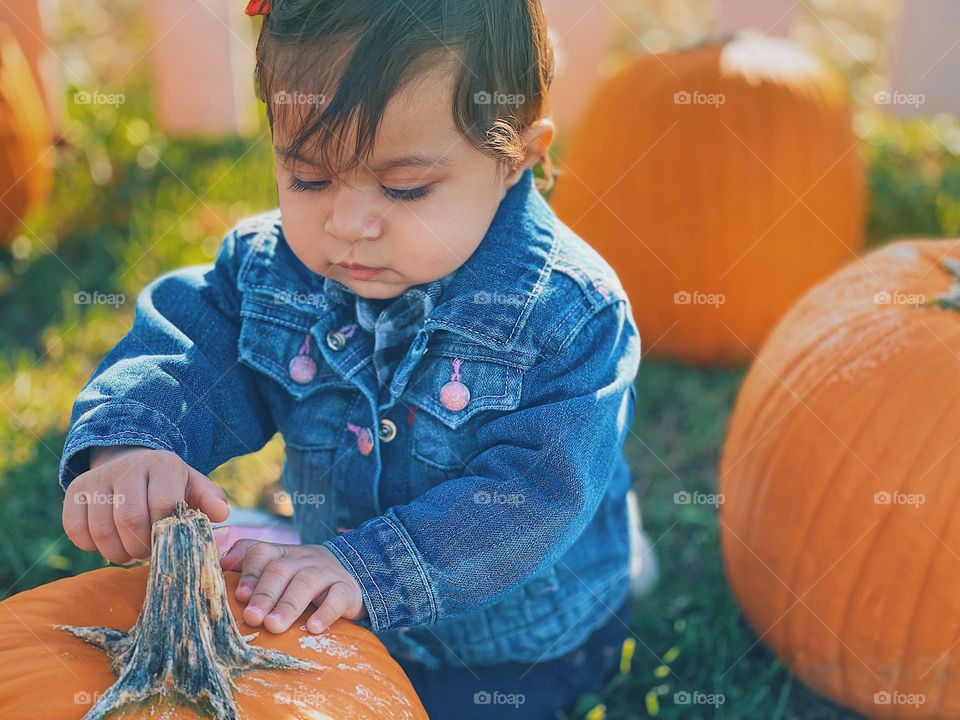 Baby girl picks out a pumpkin, little girl goes to a pumpkin patch, first time in a pumpkin patch, finding the perfect pumpkin, fall time fun, autumn in the Midwest, pumpkins in the pumpkin patch 