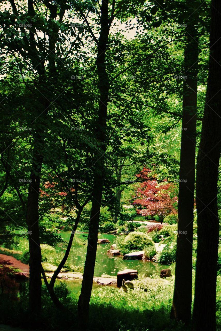 Flower garden with pond