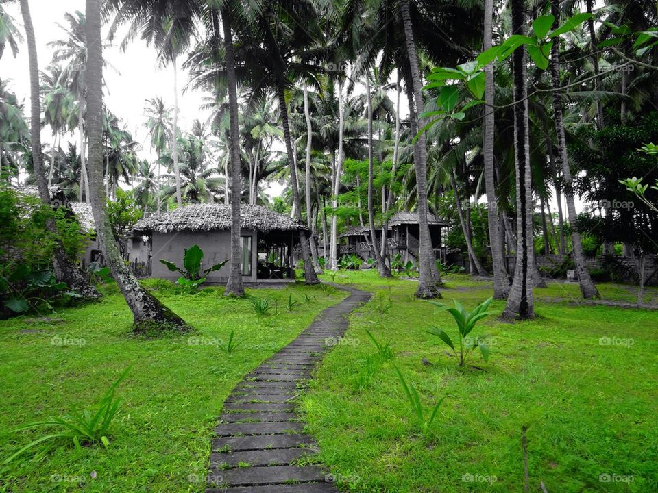 thatched resort