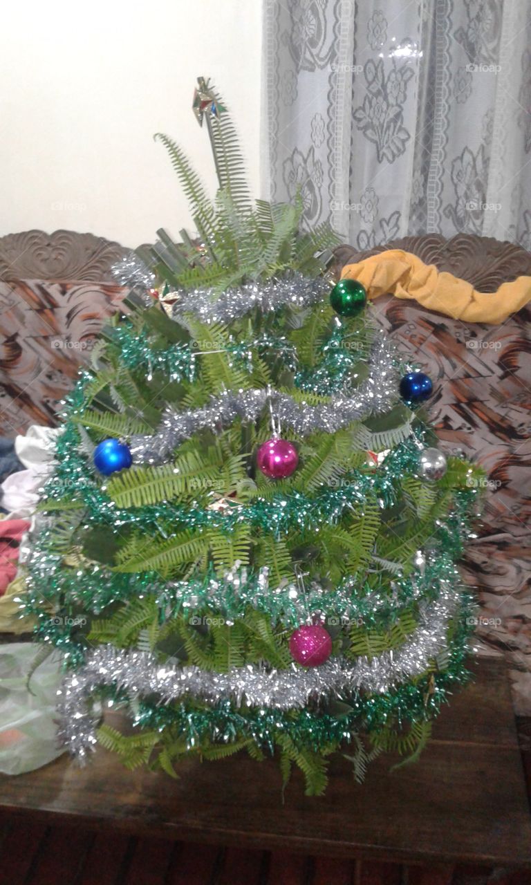 christmas tree