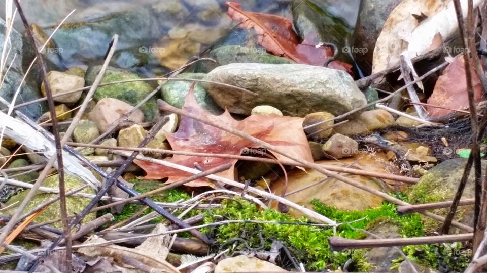 On the rocks. at my dad's river bank