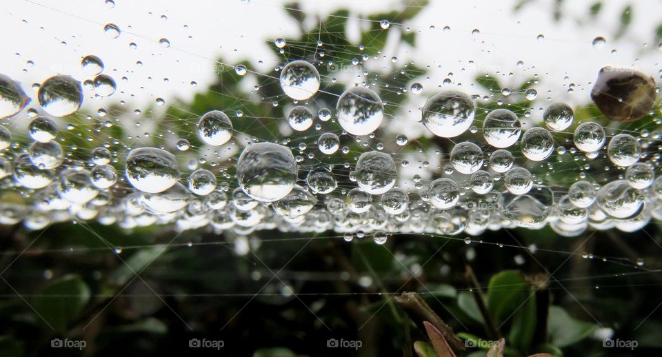 raindrops