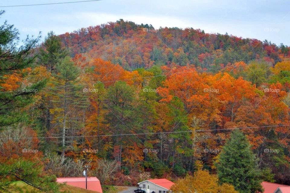 Fall Colors in the mountains