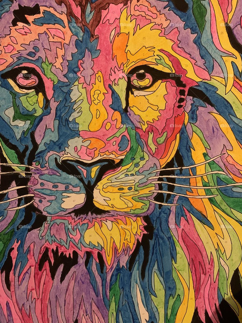 Pride colour rainbow lion painting