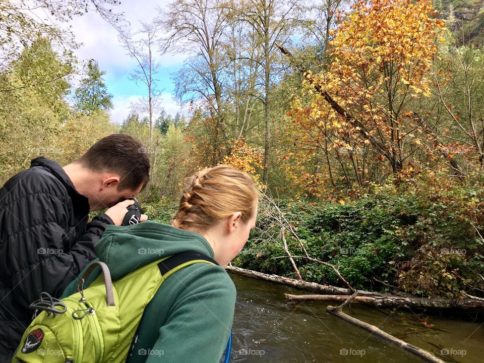 Watching the salmon run