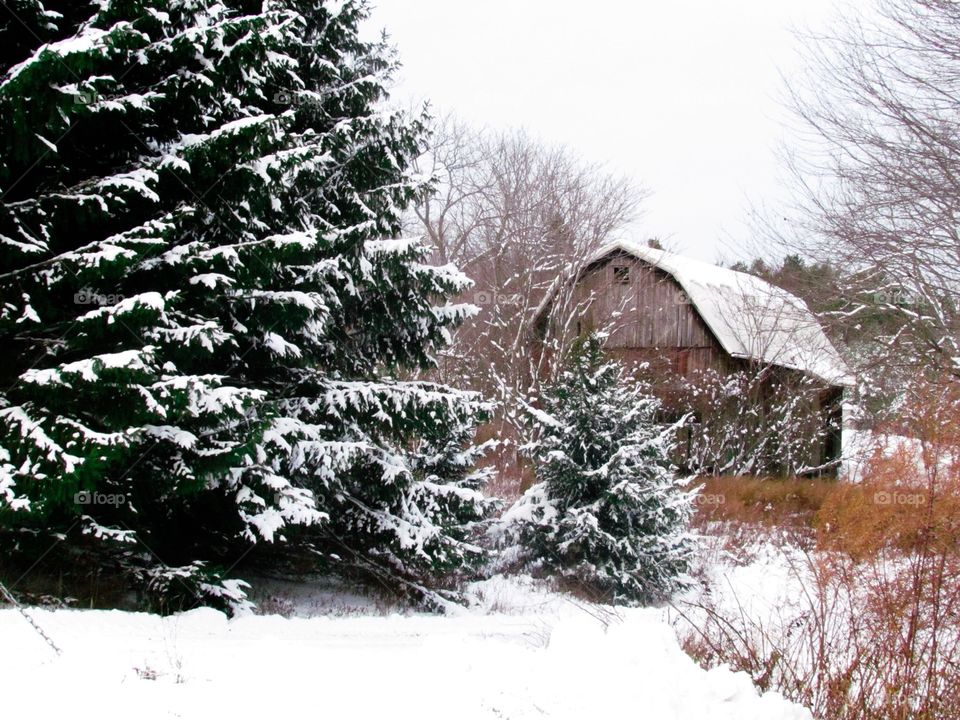 Old barn in winter 