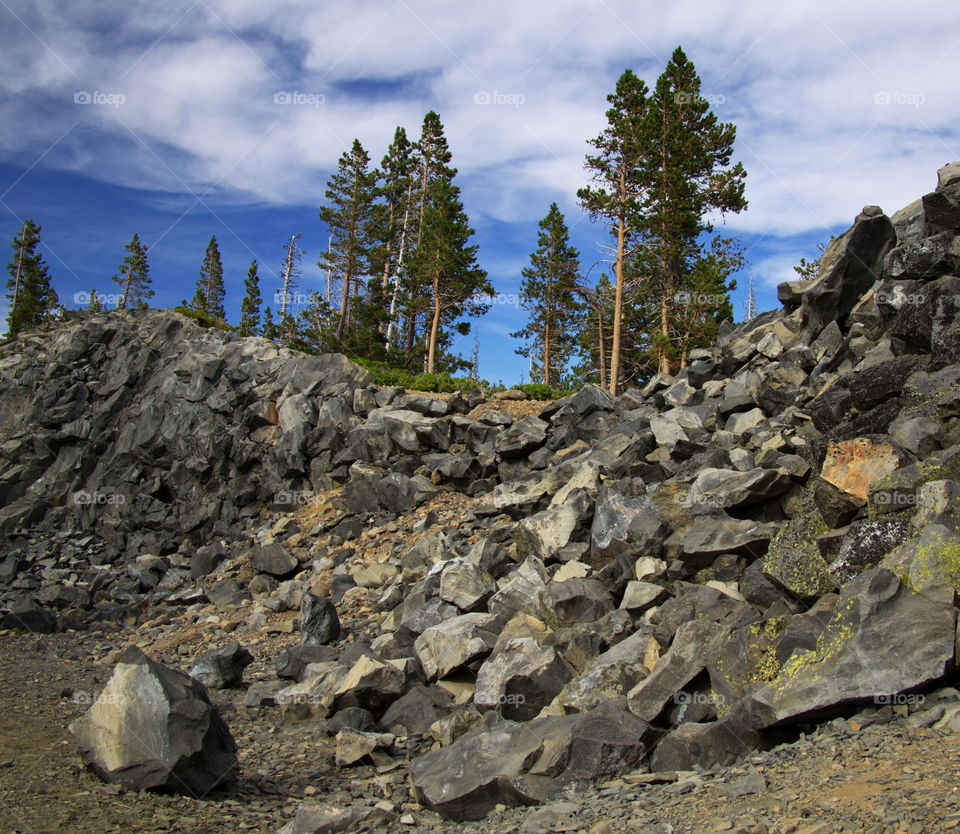 Trees over the rocky mountain