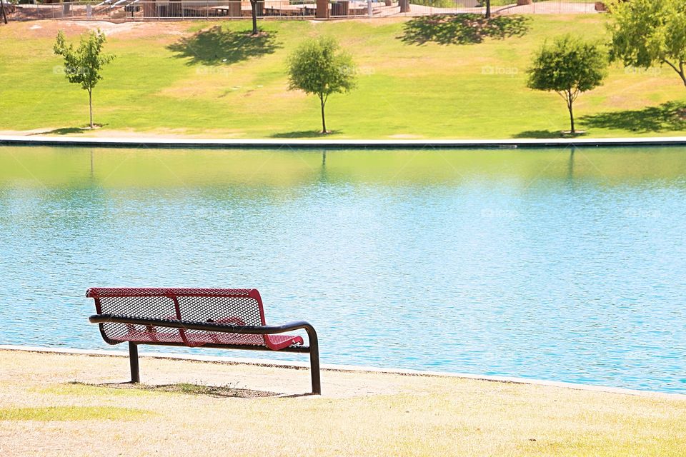 The red bench