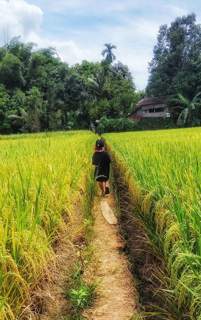 Kid of farm