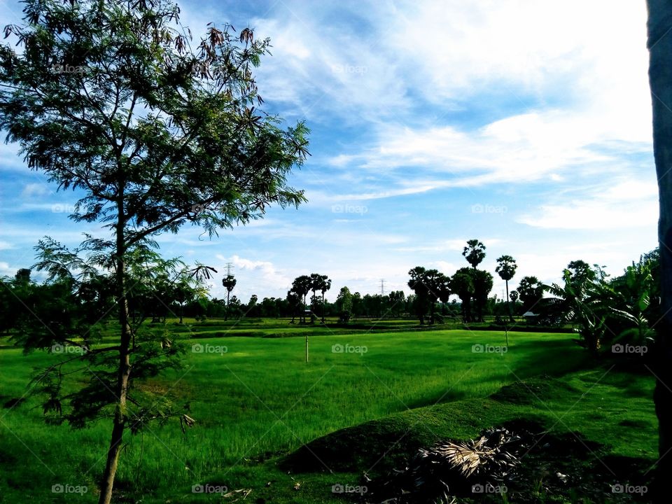 Landscape in Ubon Ratchattani,Thailand.