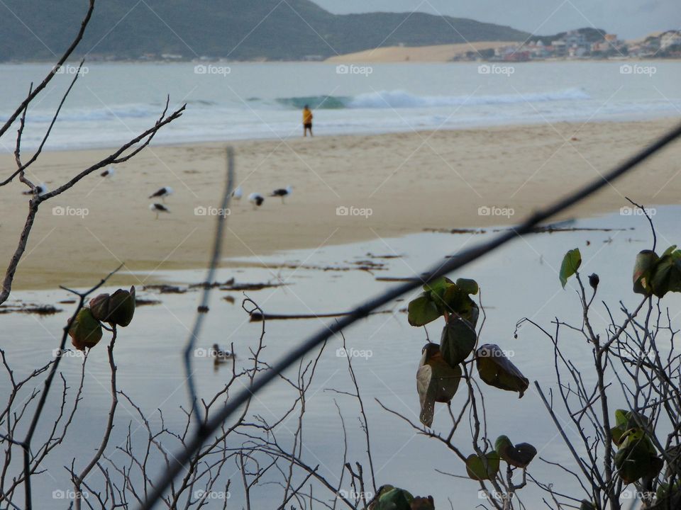 Florianópolis, Santa Catarina, Brasil