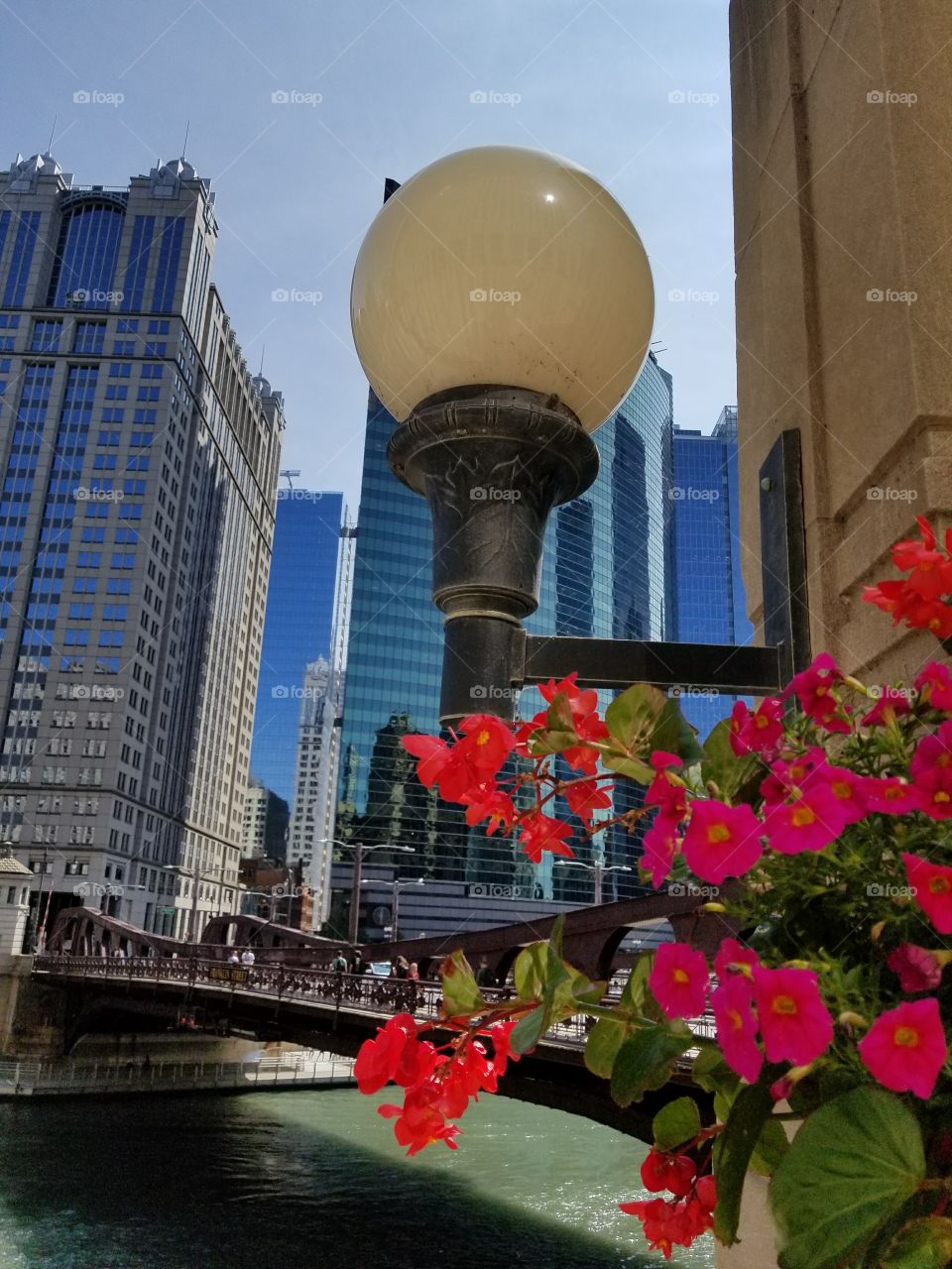 Chicago city 