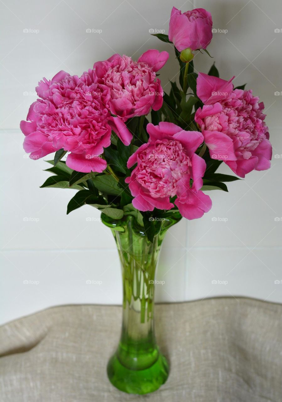 pink peony flowers in vase