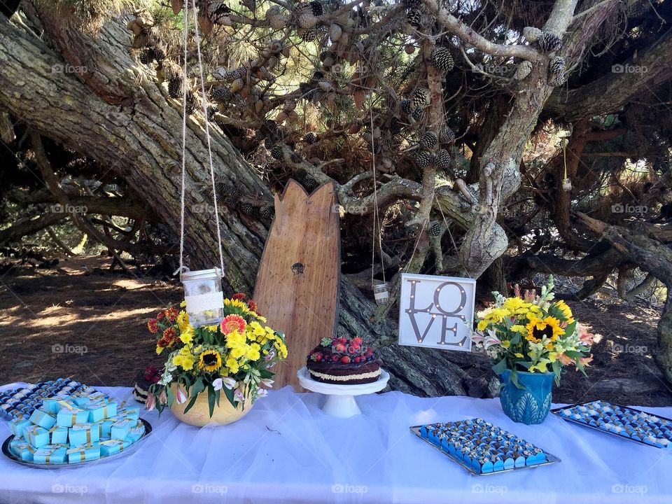 DIY surf beach wedding