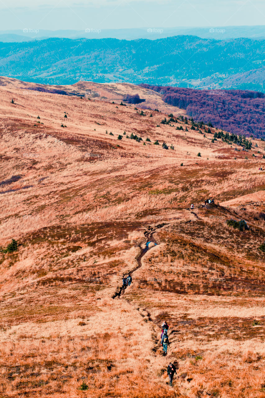 Autumn in The Bieszczady Mountains in Poland. Hillsides coloured with yellow, red, brown. Fall scenery, mountain landscape view from distance. Hikers walking along footpath