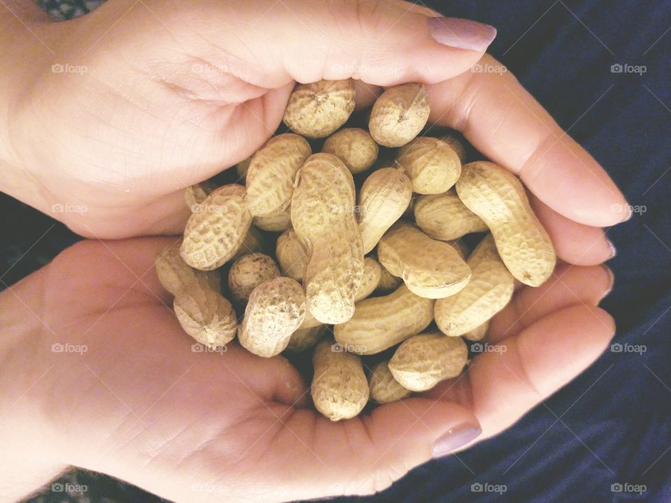 Peanuts in women's hands
