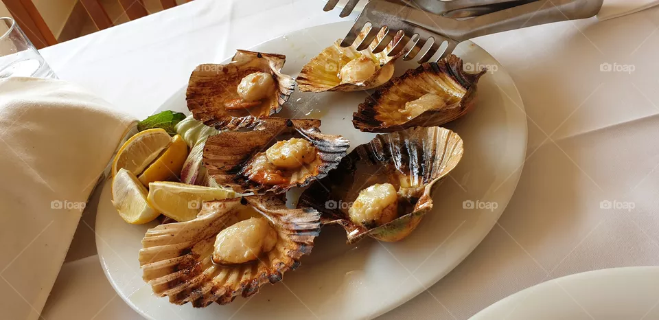 shells