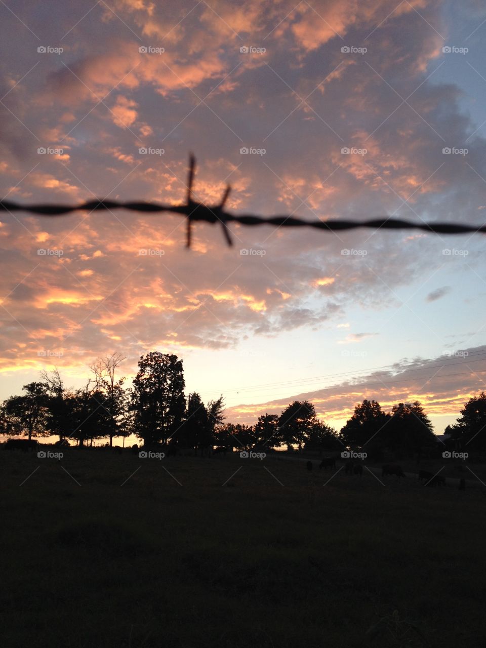 sunset and barbed wire