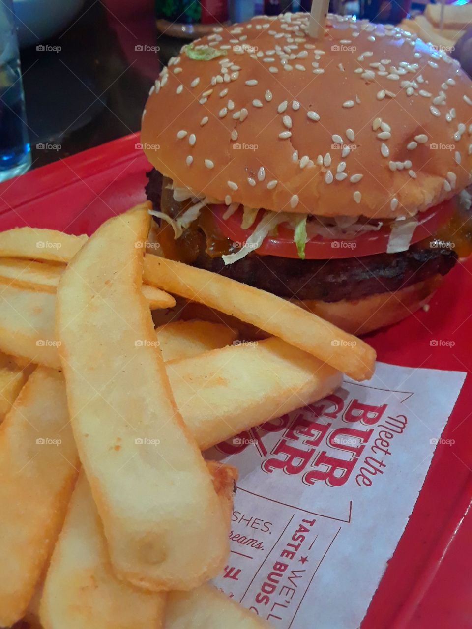 Red Robin's Cheeseburger and Bottomless fries