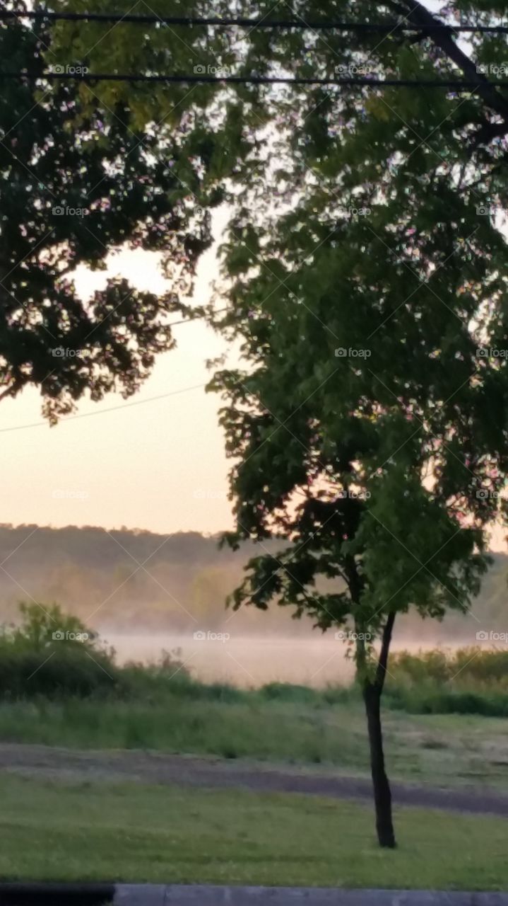 fog on the lake. babysitting