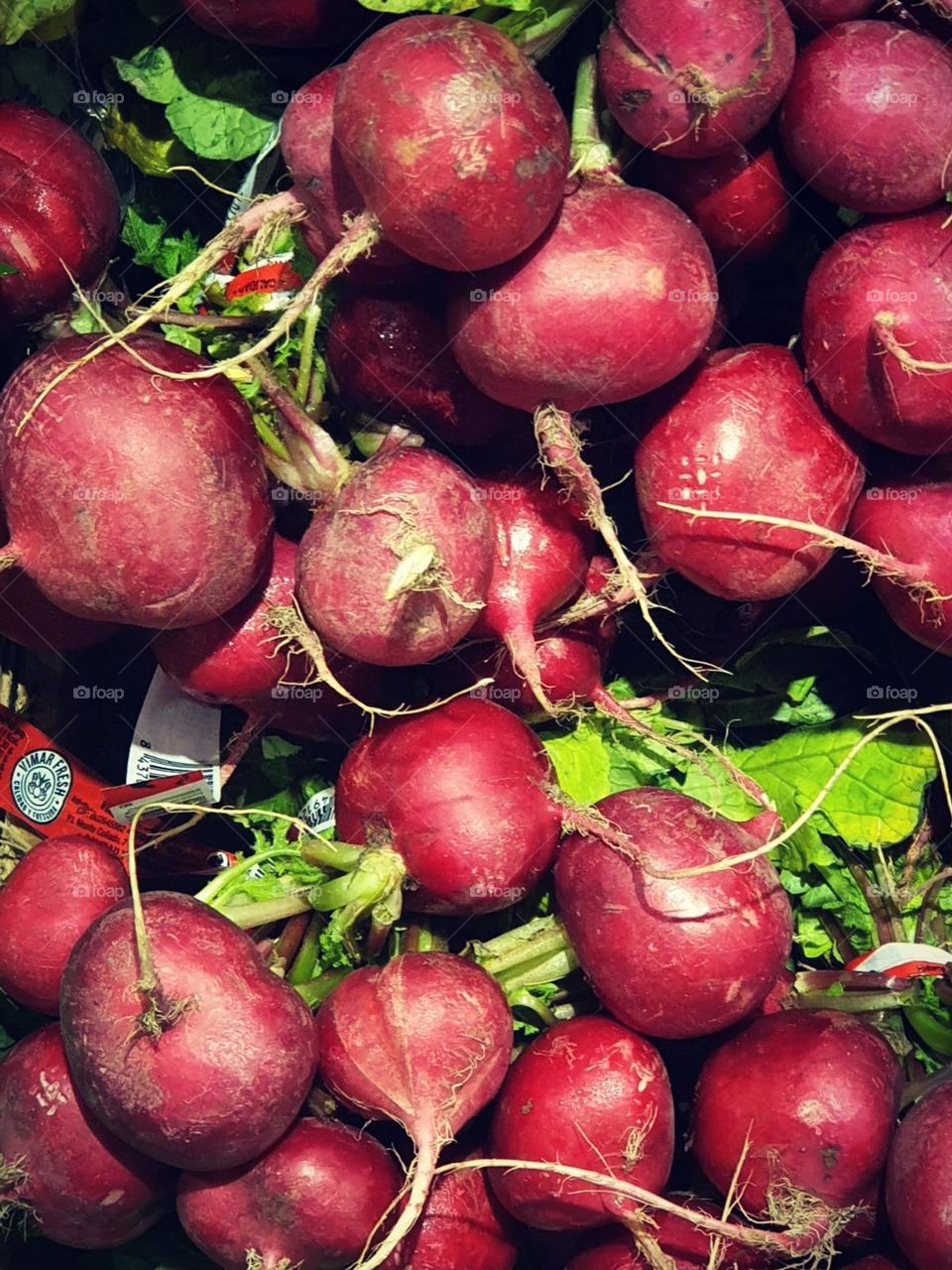 Radishes#vegetables