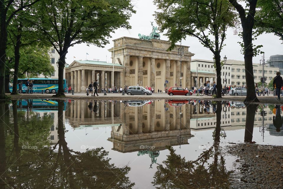 Symmetry... reflection in a puddle after heavy rainfall 