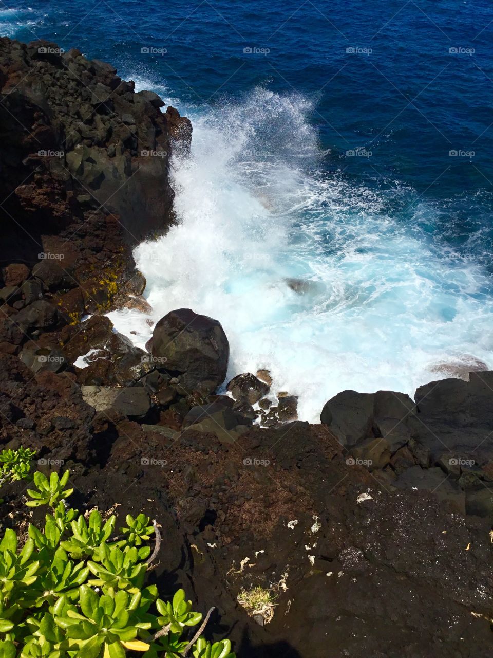 Looking down from a sea cliff