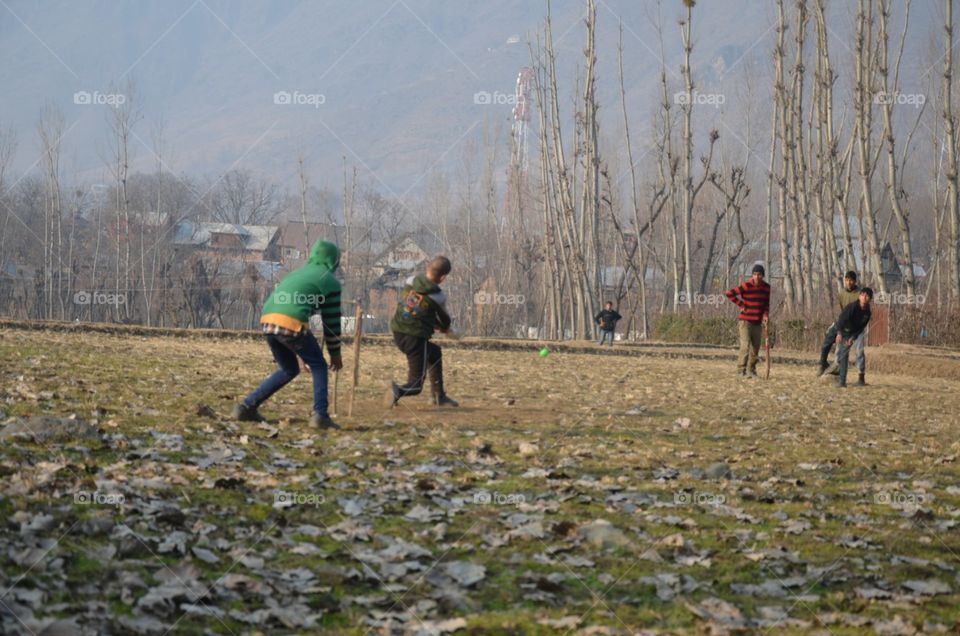 playing cricket