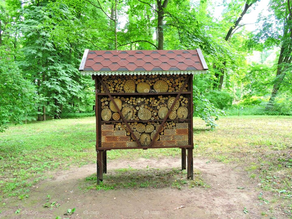 Bugz. A hotel for insects in the Lithuanian Botanical Gardens